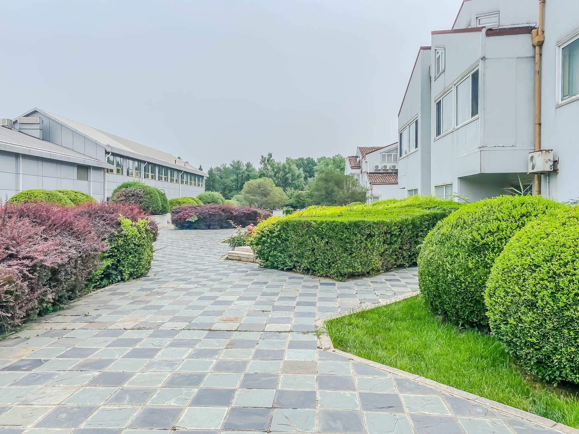 丽京花园 environment