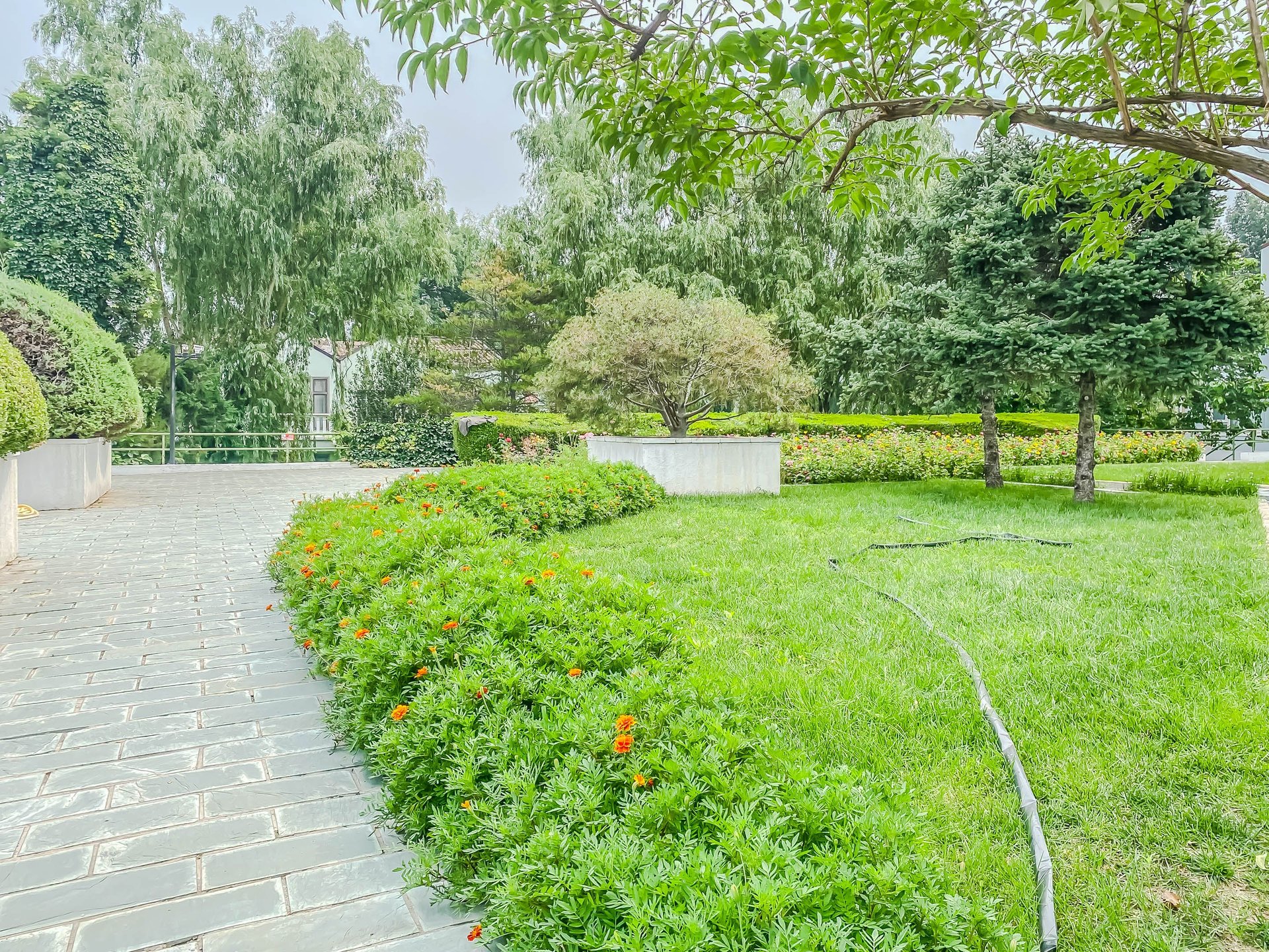 丽京花园 environment