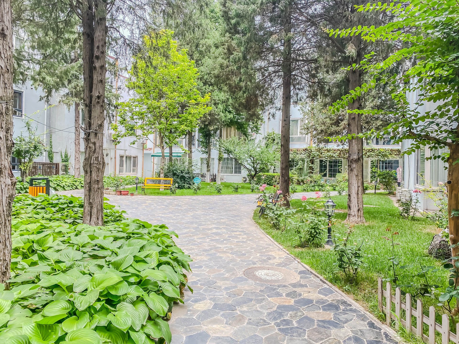 丽京花园 environment