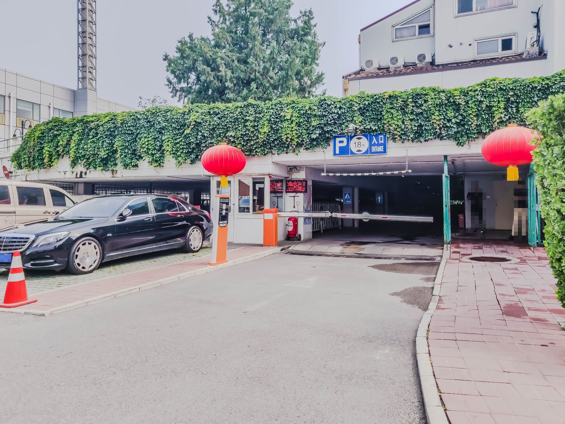 丽京花园 environment