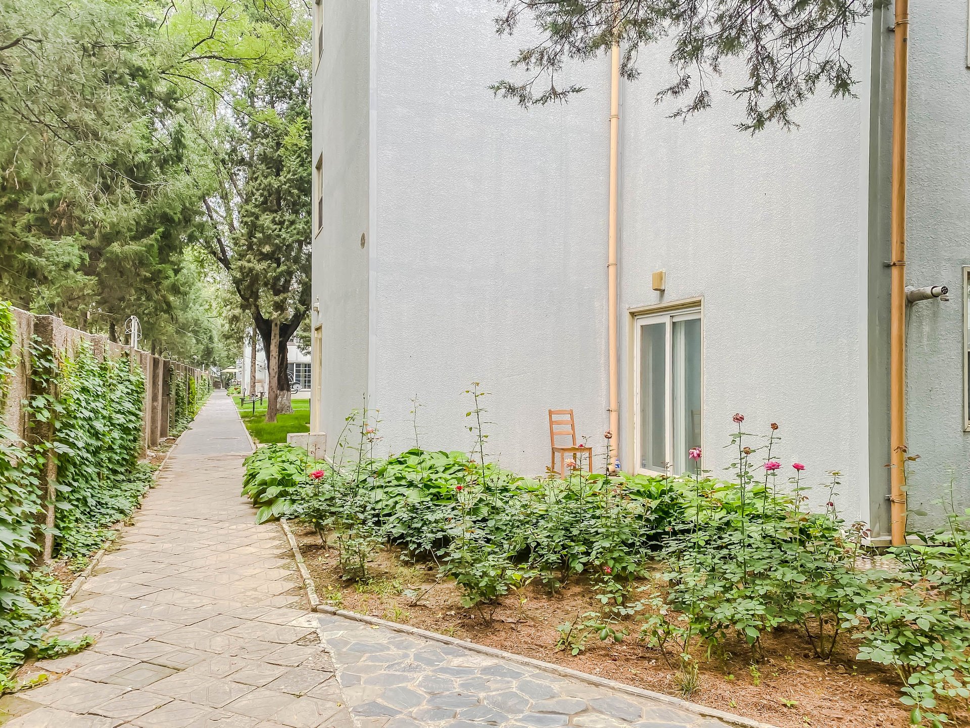 丽京花园 environment