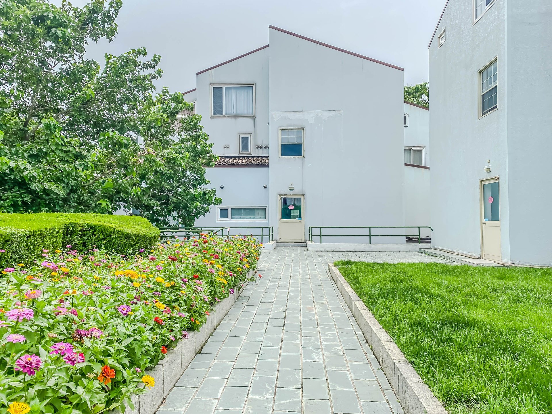 丽京花园 environment