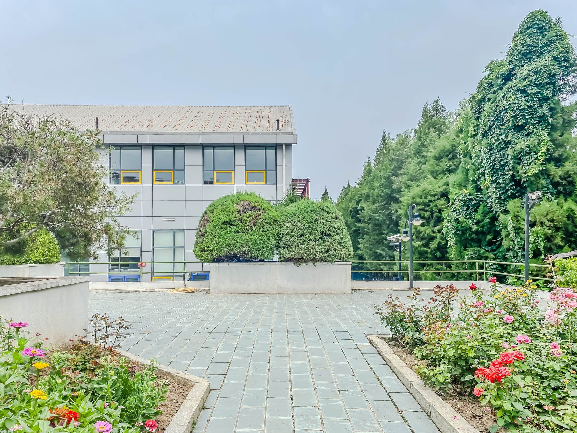 丽京花园 environment