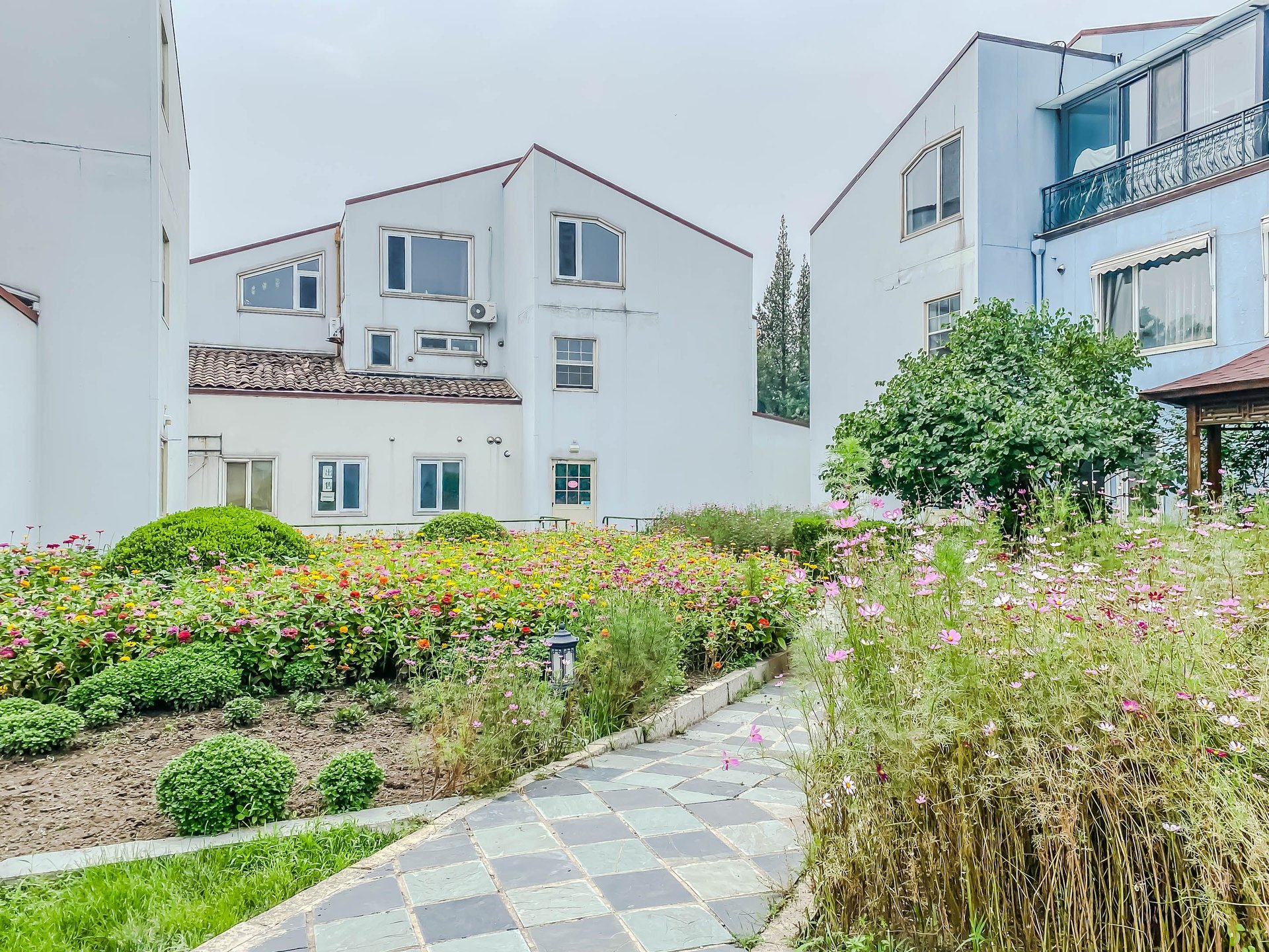 丽京花园 environment