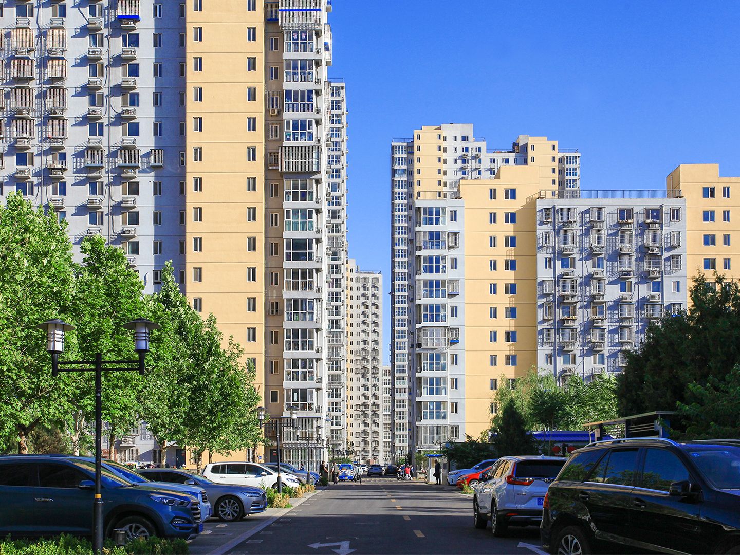 荔景园新区 environment