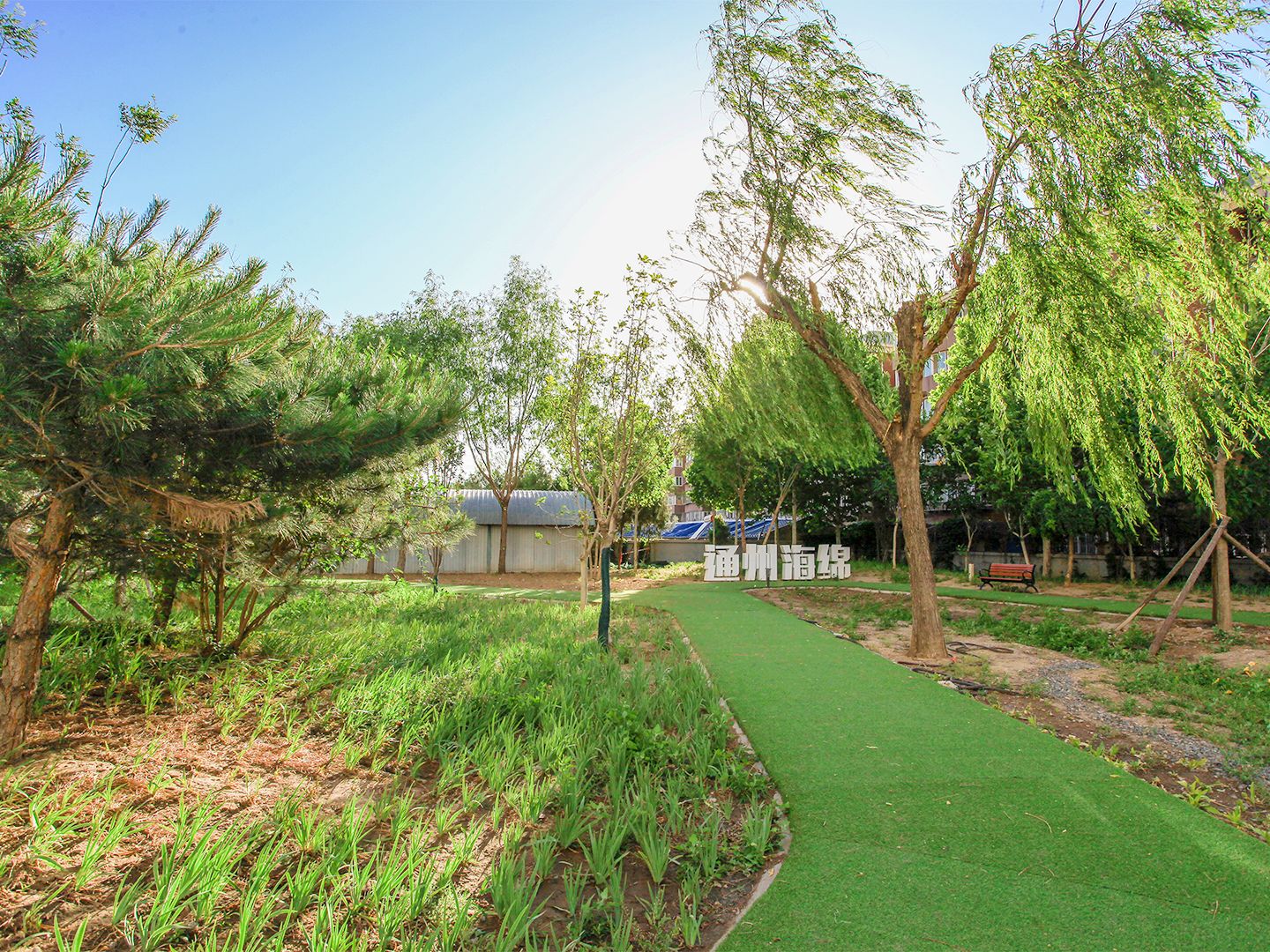 荔景园新区 environment