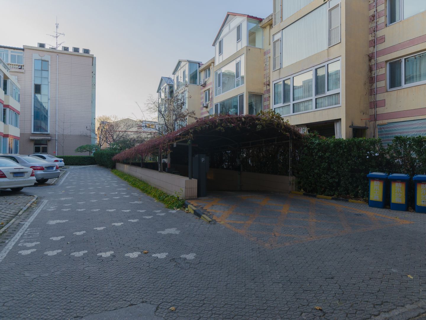 玲珑花园 environment