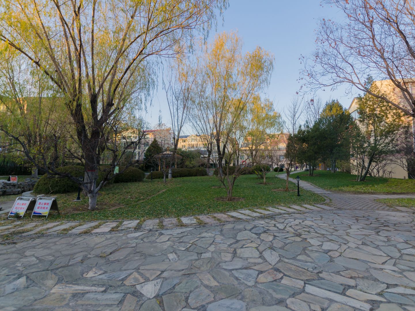 玲珑花园 environment