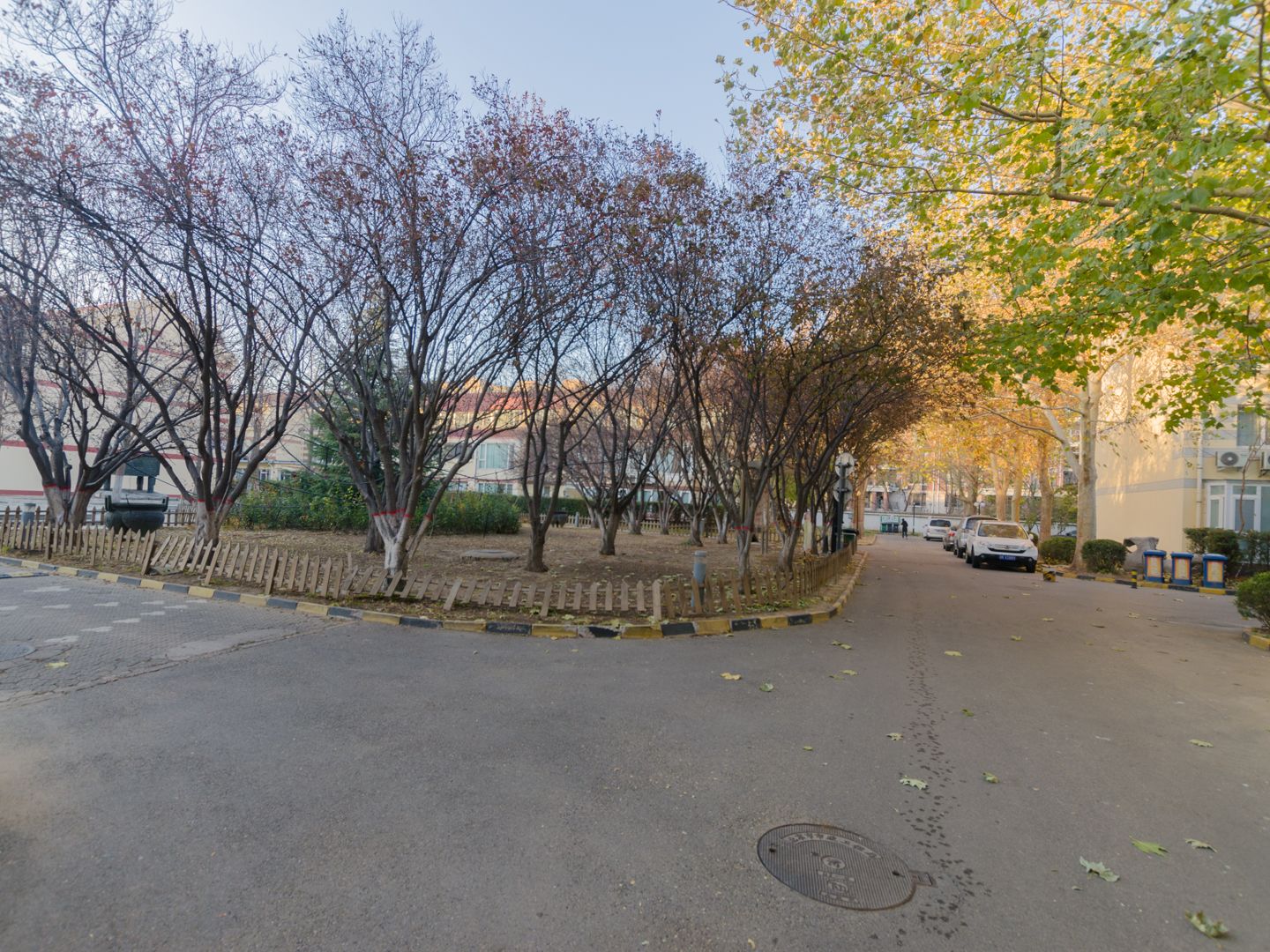 玲珑花园 environment