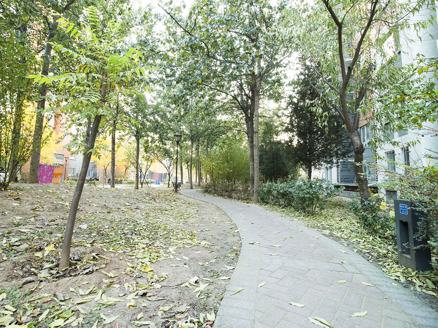 领秀慧谷A区 environment