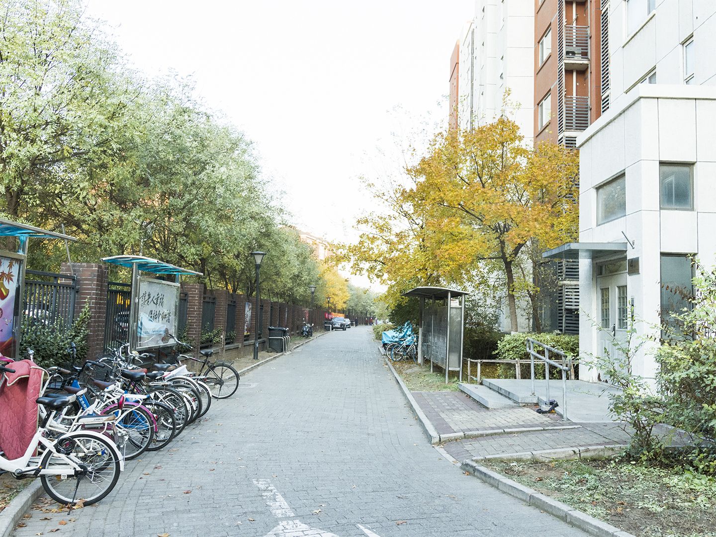 领秀慧谷A区 environment