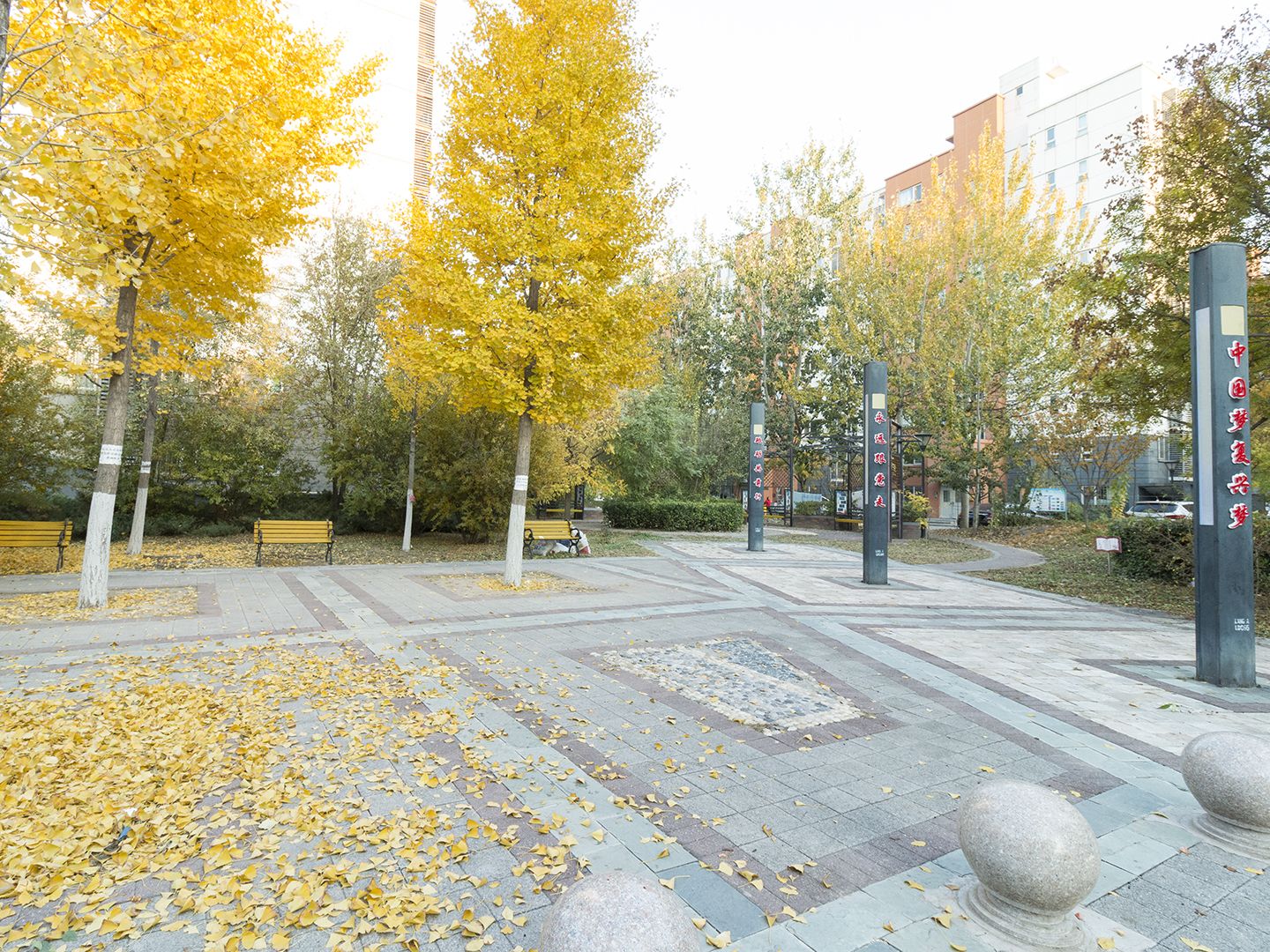 领秀慧谷A区 environment