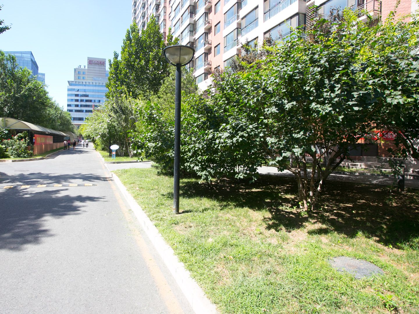 丽水莲花 environment