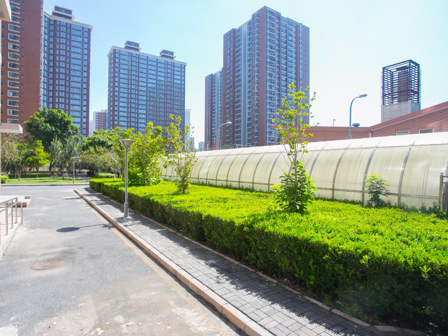 丽水莲花 environment