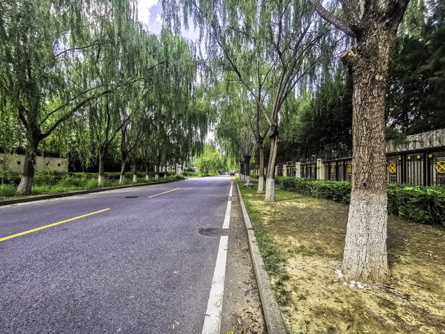 丽斯花园 environment