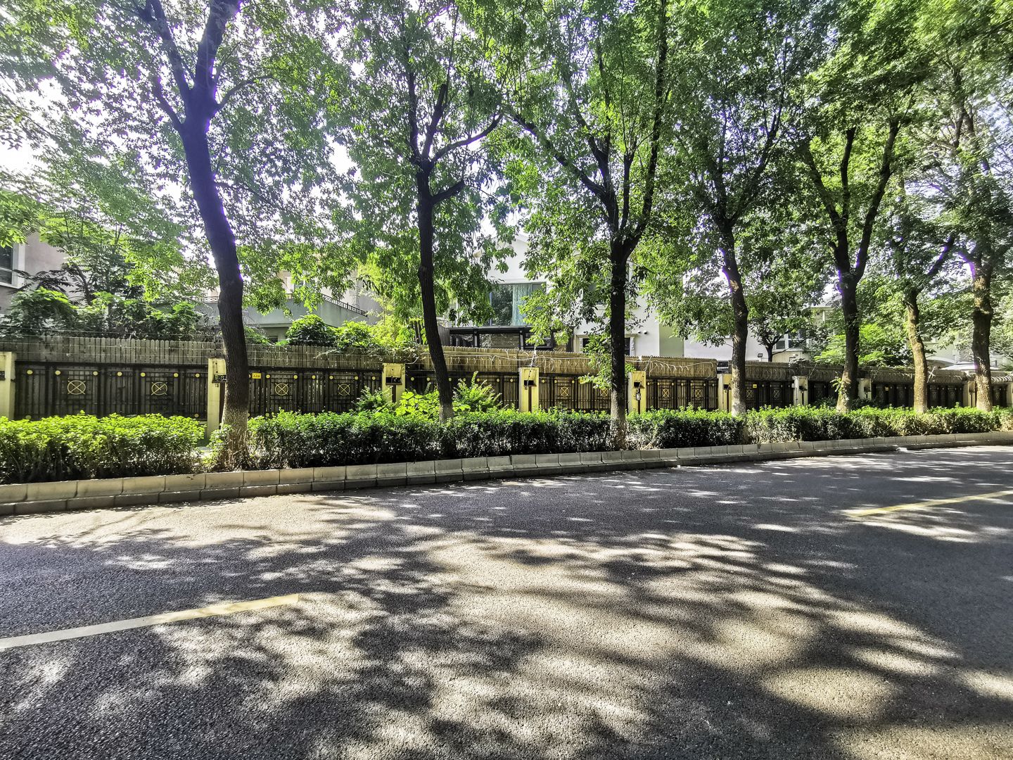 丽斯花园 environment