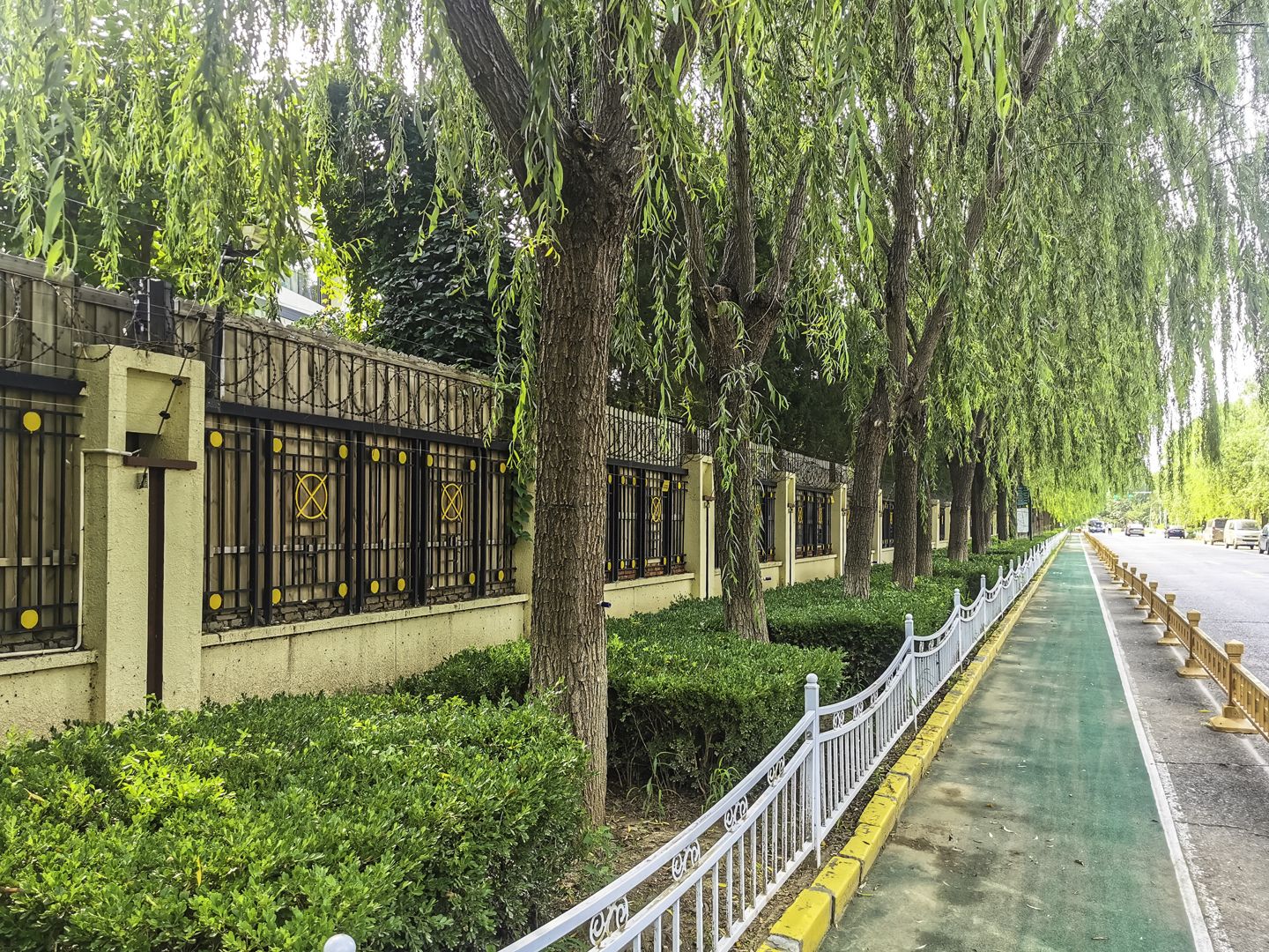 丽斯花园 environment