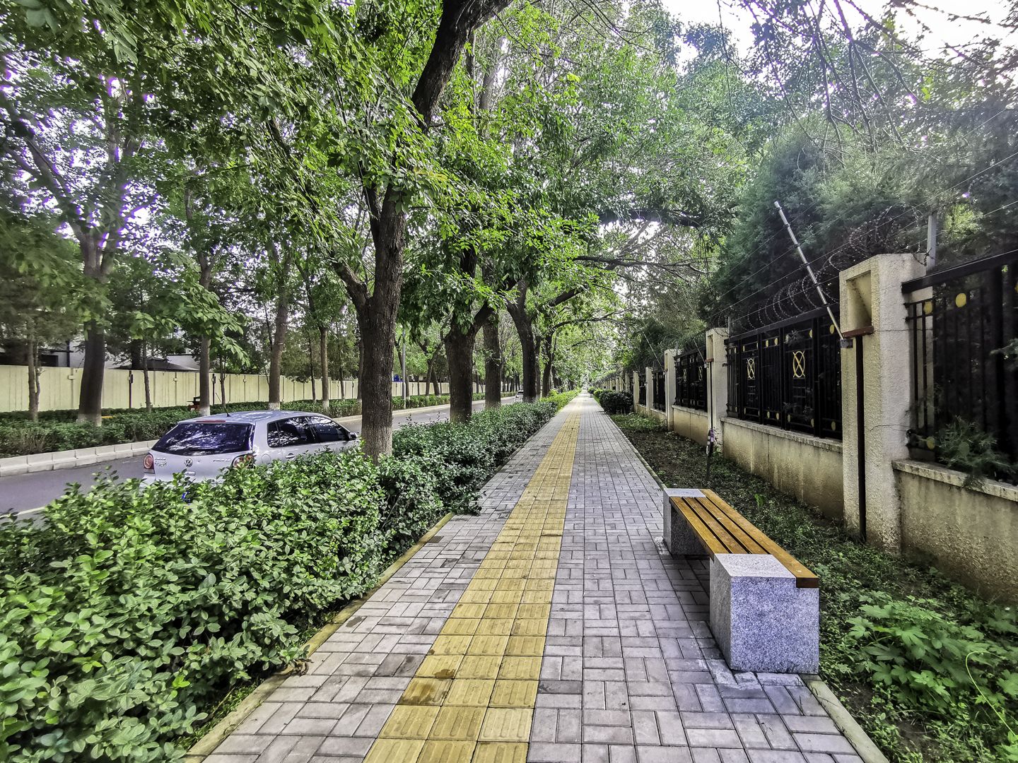 丽斯花园 environment