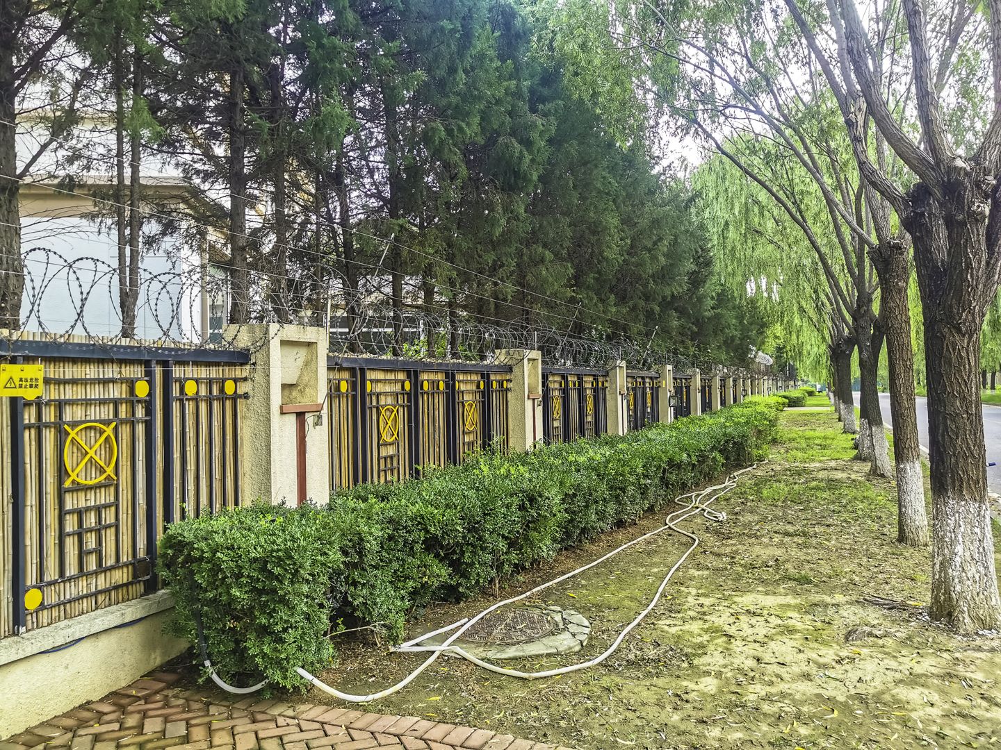 丽斯花园 environment