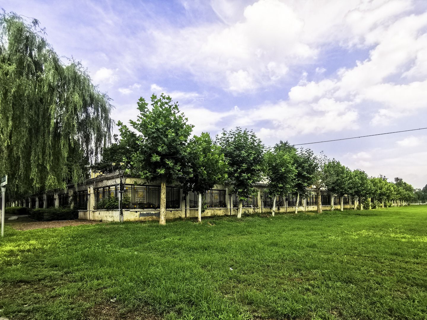 丽斯花园 environment