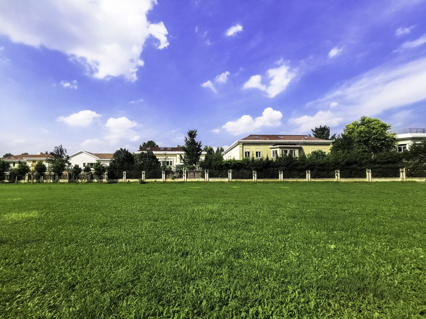 丽斯花园 environment