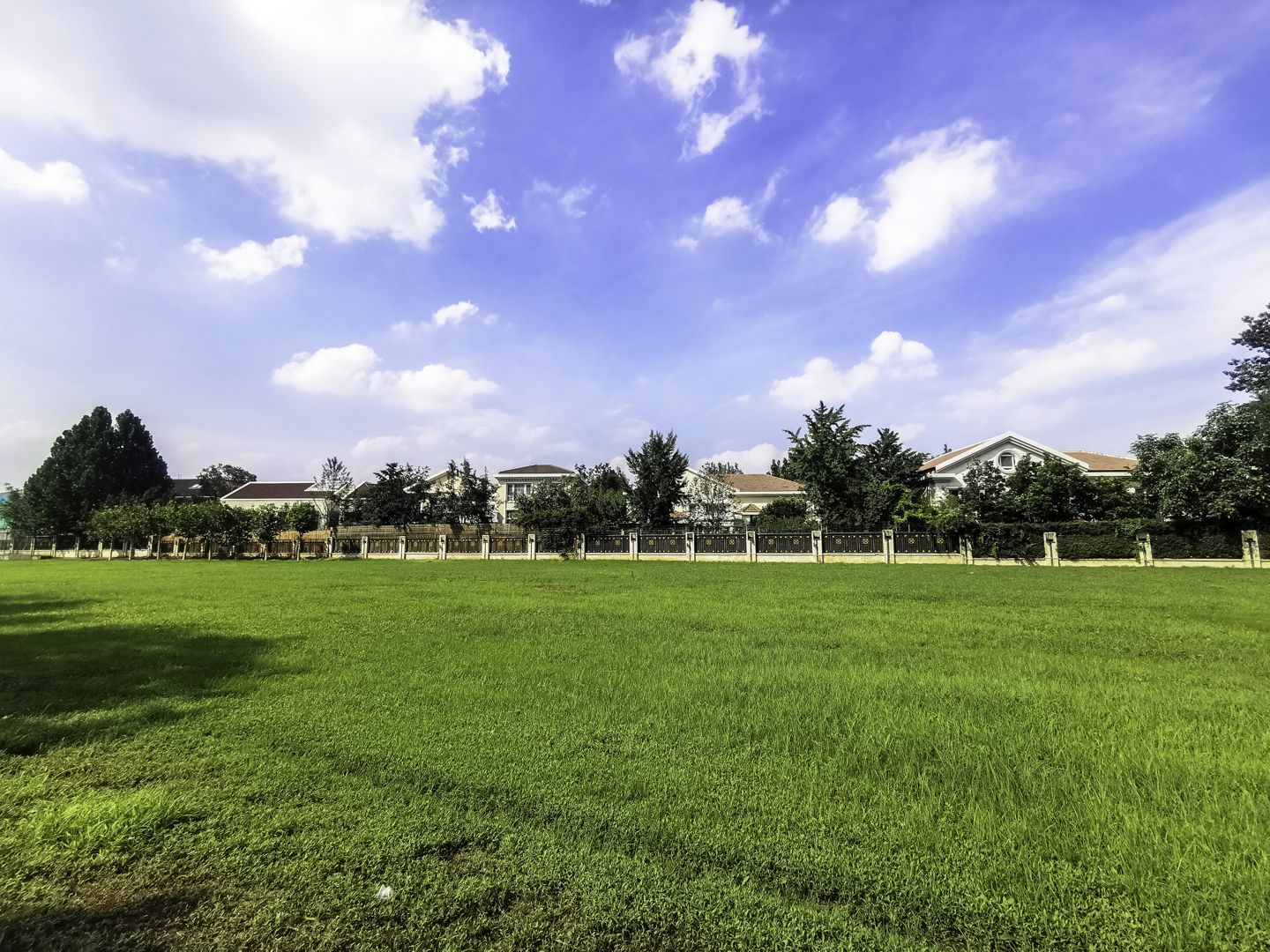 丽斯花园 environment