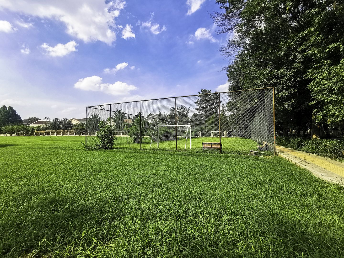 丽斯花园 environment