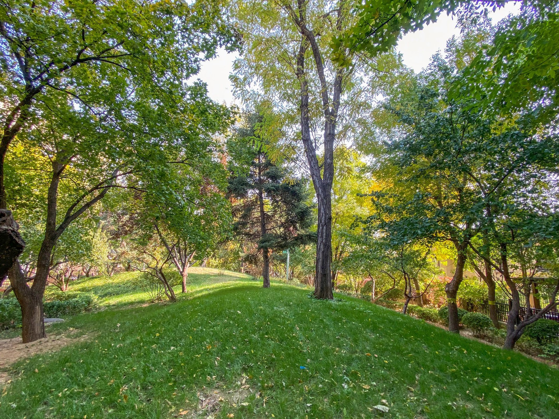 龙湖花盛香醍 environment