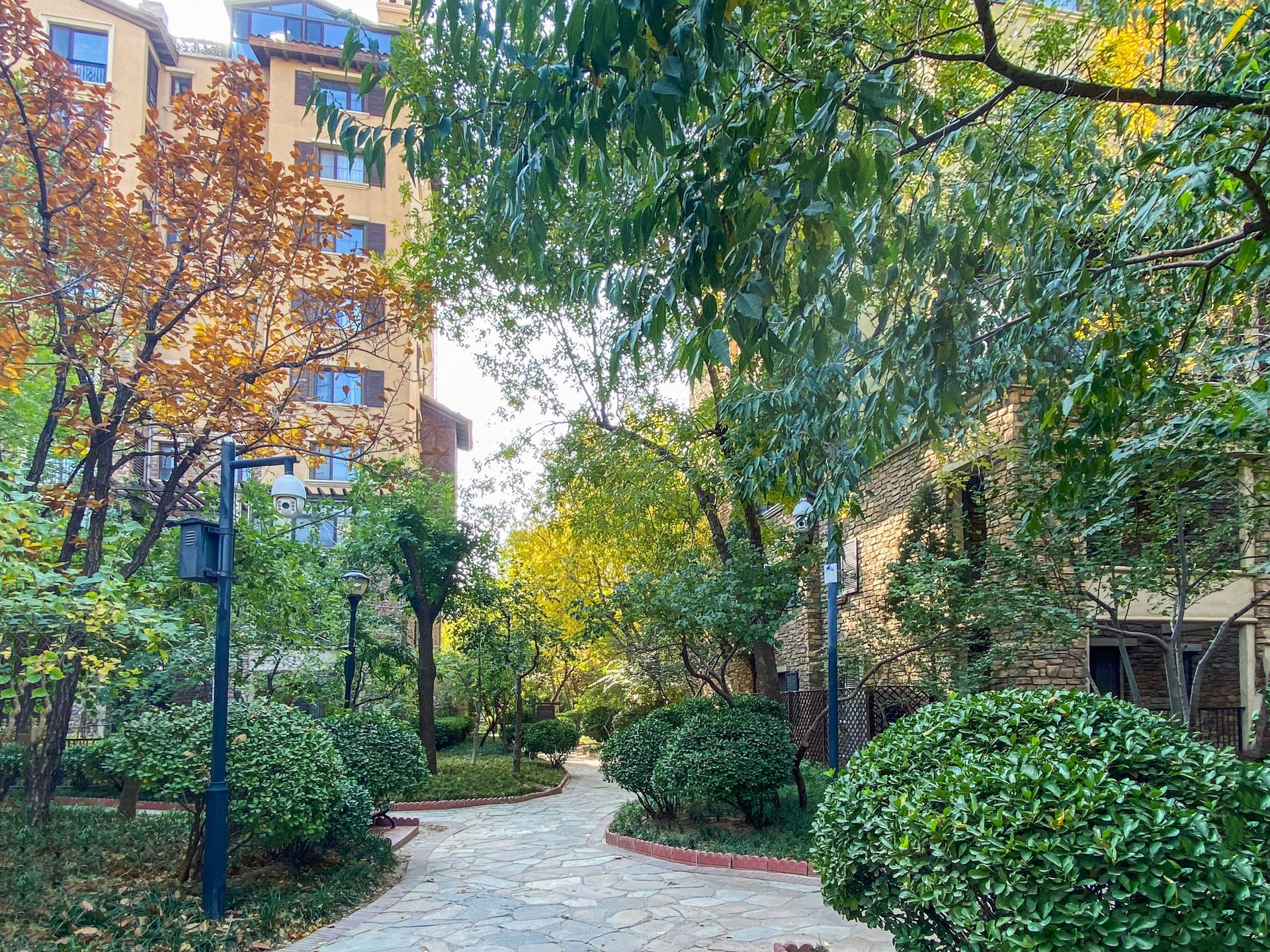 龙湖花盛香醍 environment