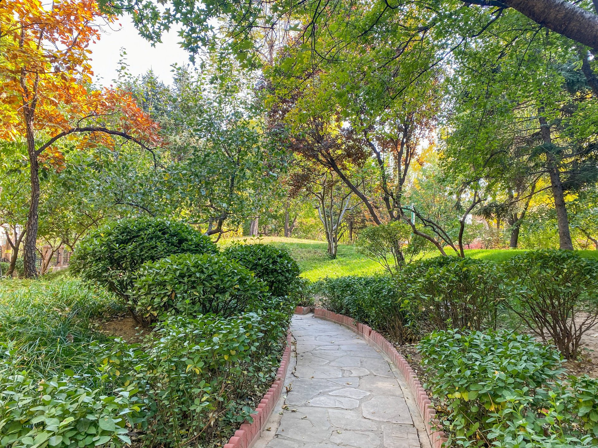 龙湖花盛香醍 environment