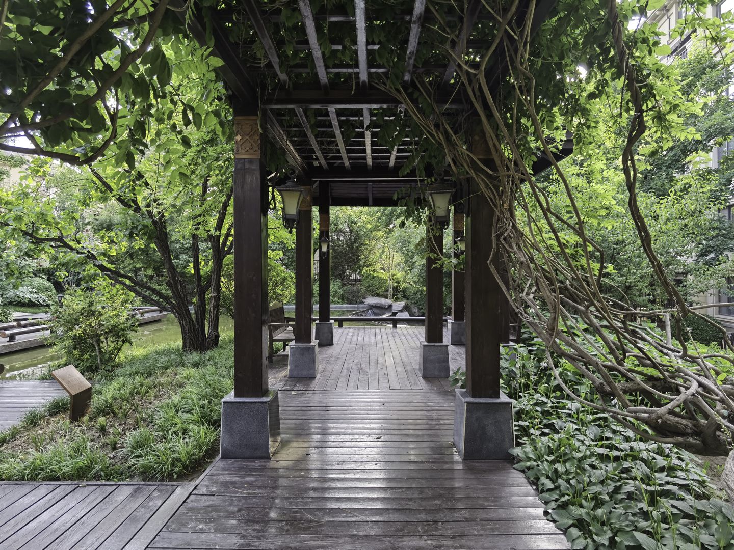 龙湖双珑原著 environment