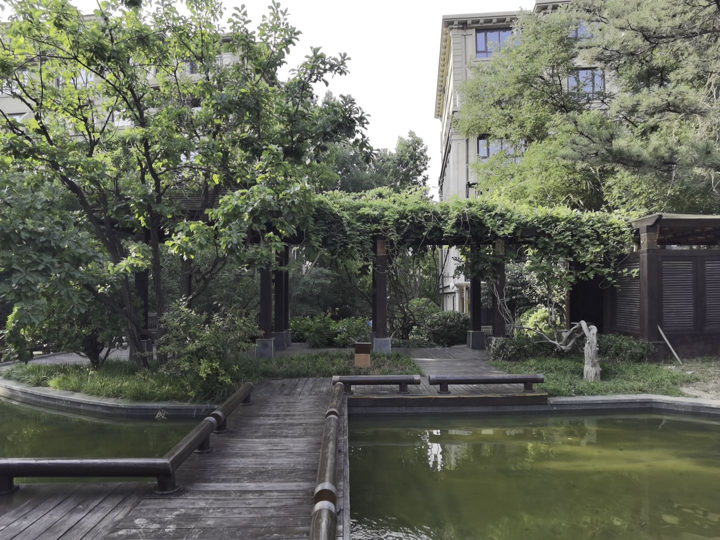 龙湖双珑原著 environment