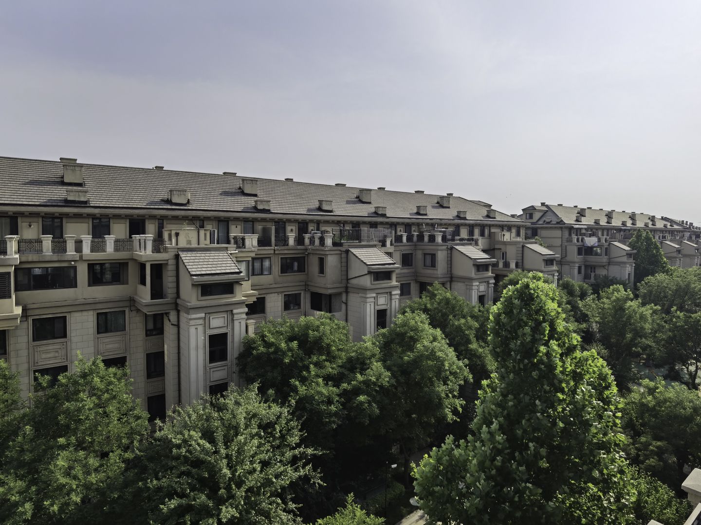 龙湖双珑原著 environment