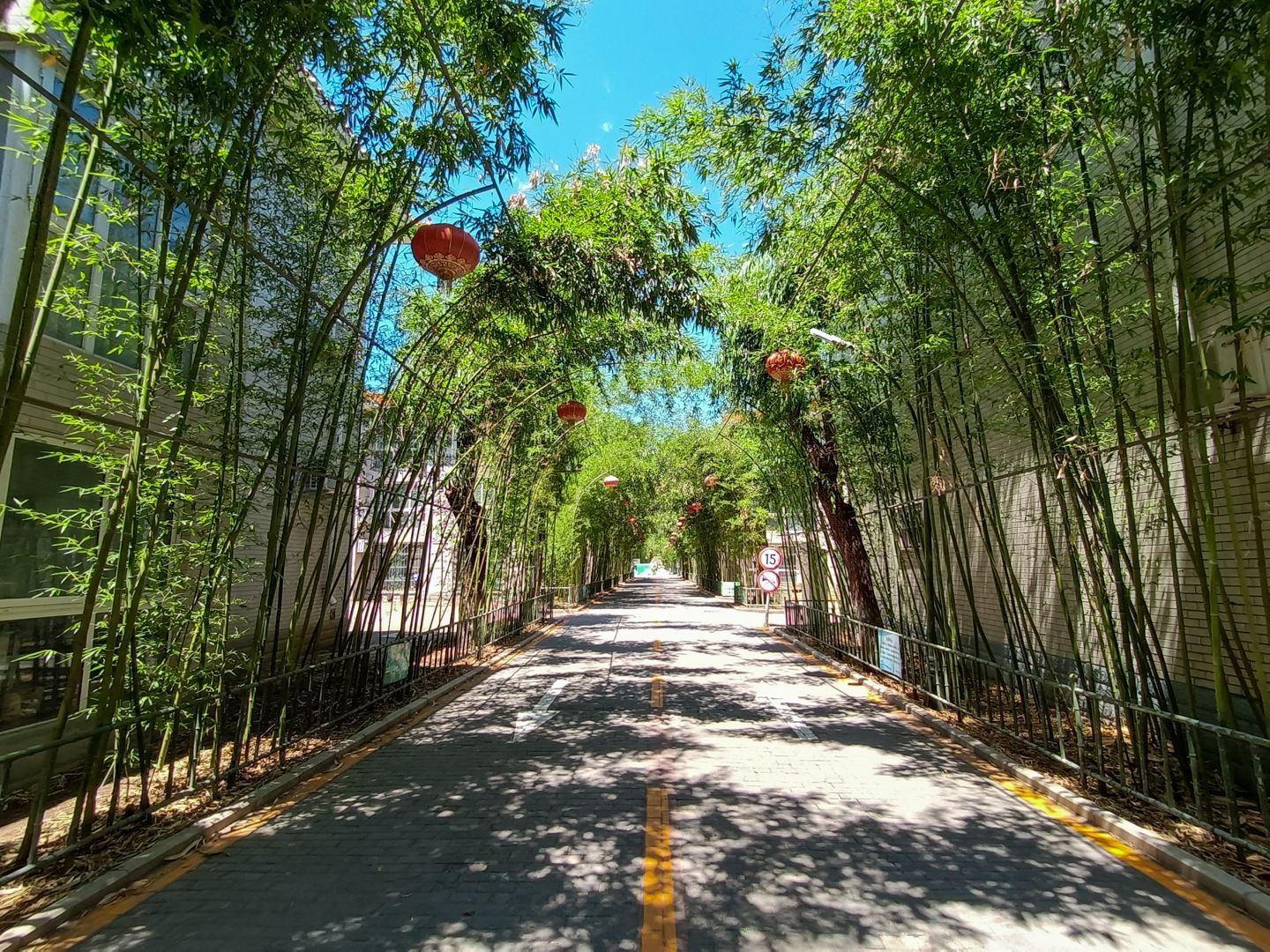 龙脉温泉 environment