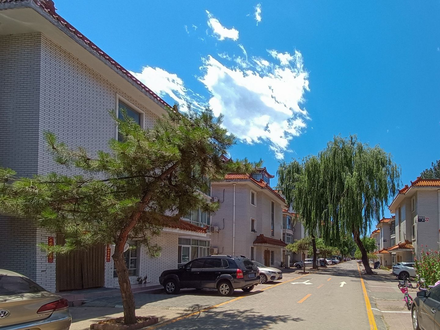 龙脉温泉 environment