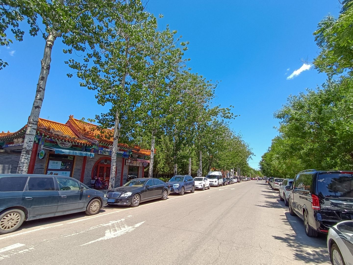 龙脉温泉 environment