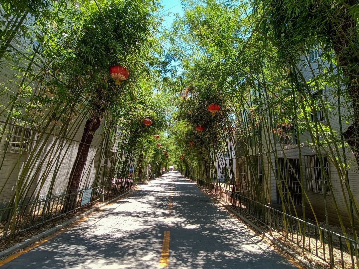 龙脉温泉 environment