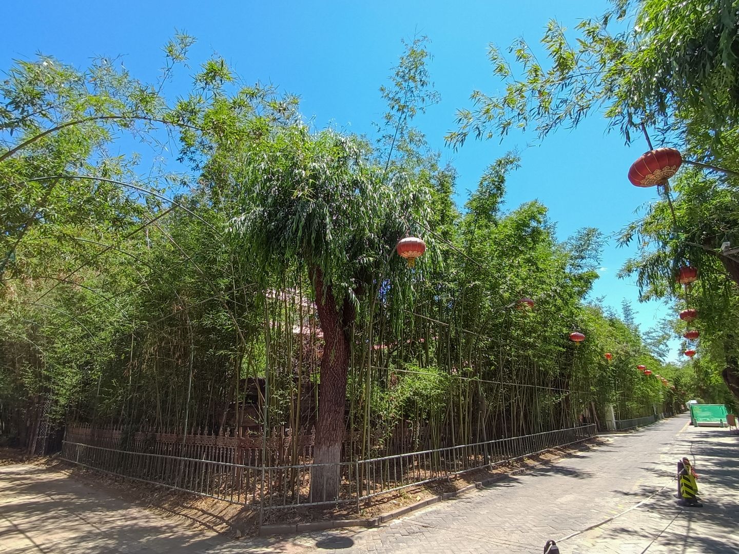 龙脉温泉 environment