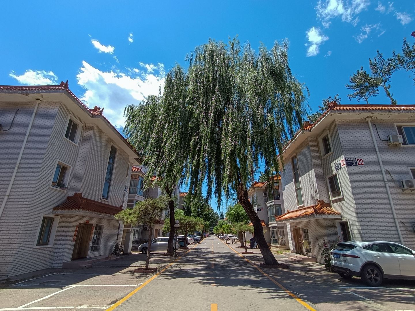 龙脉温泉 environment