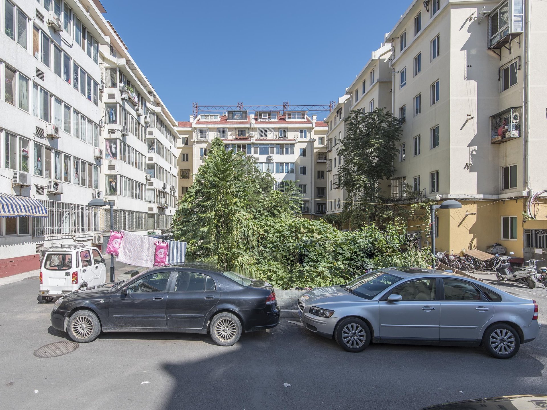 龙潭西里 environment