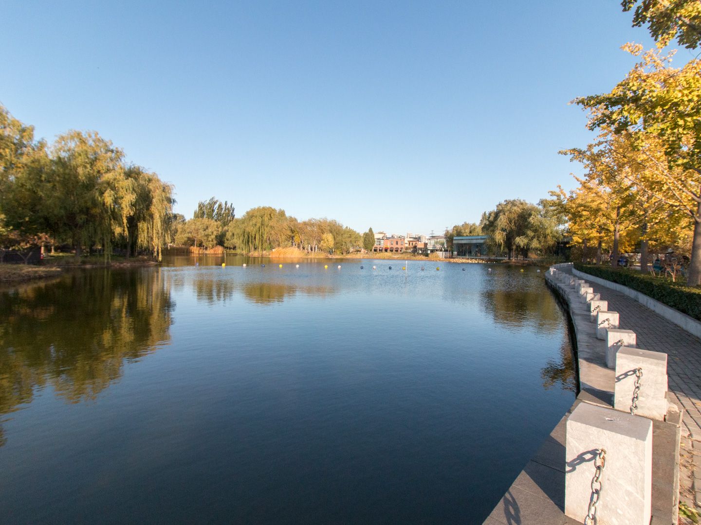 龙湾别墅 environment