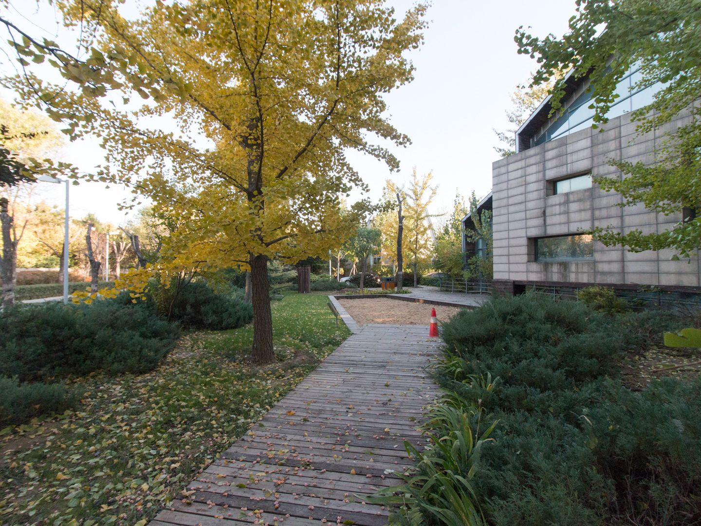 龙湾别墅 environment