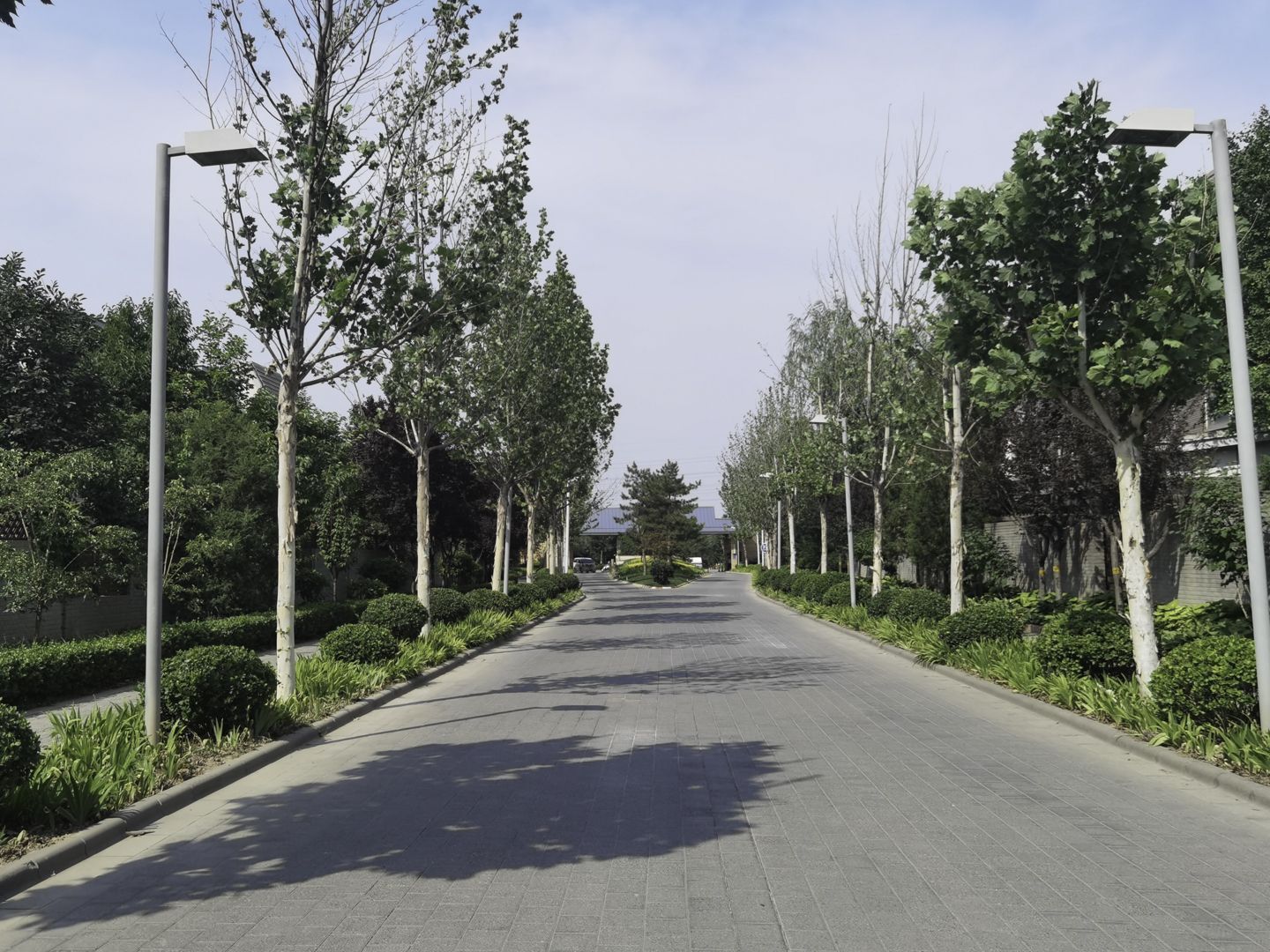 龙湾别墅 environment