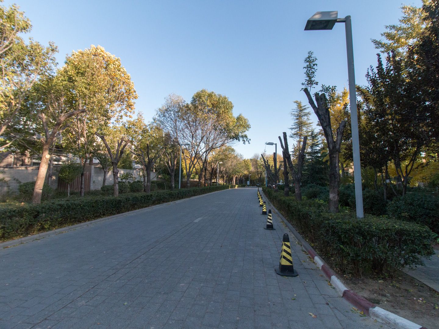 龙湾别墅 environment