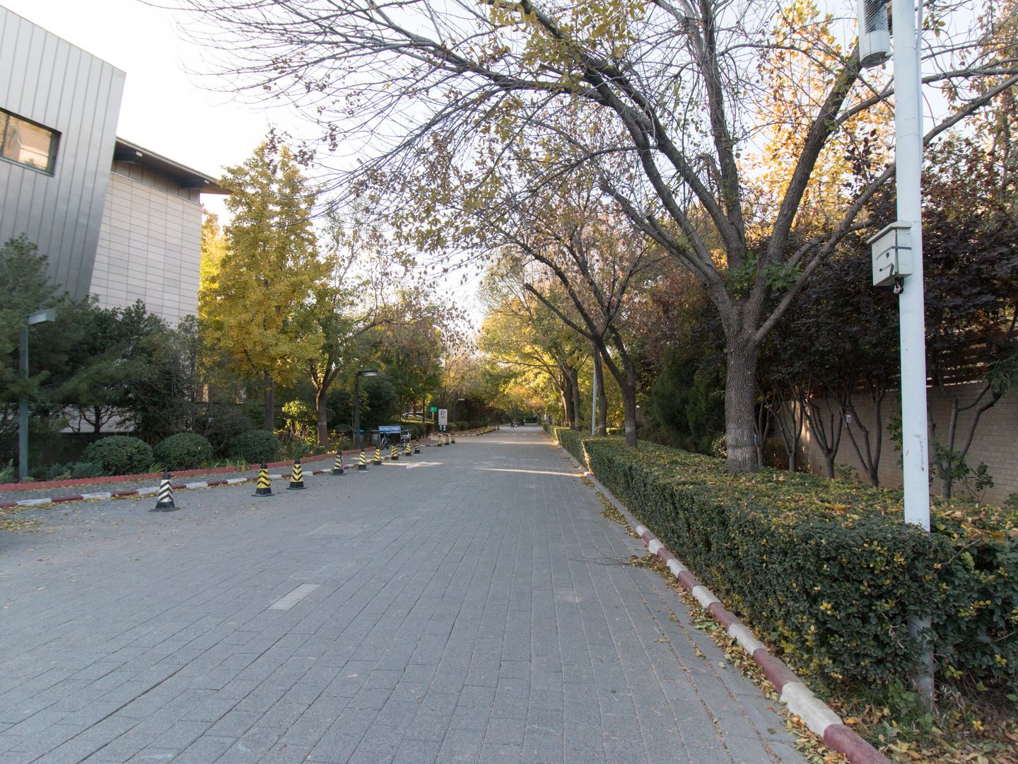 龙湾别墅 environment