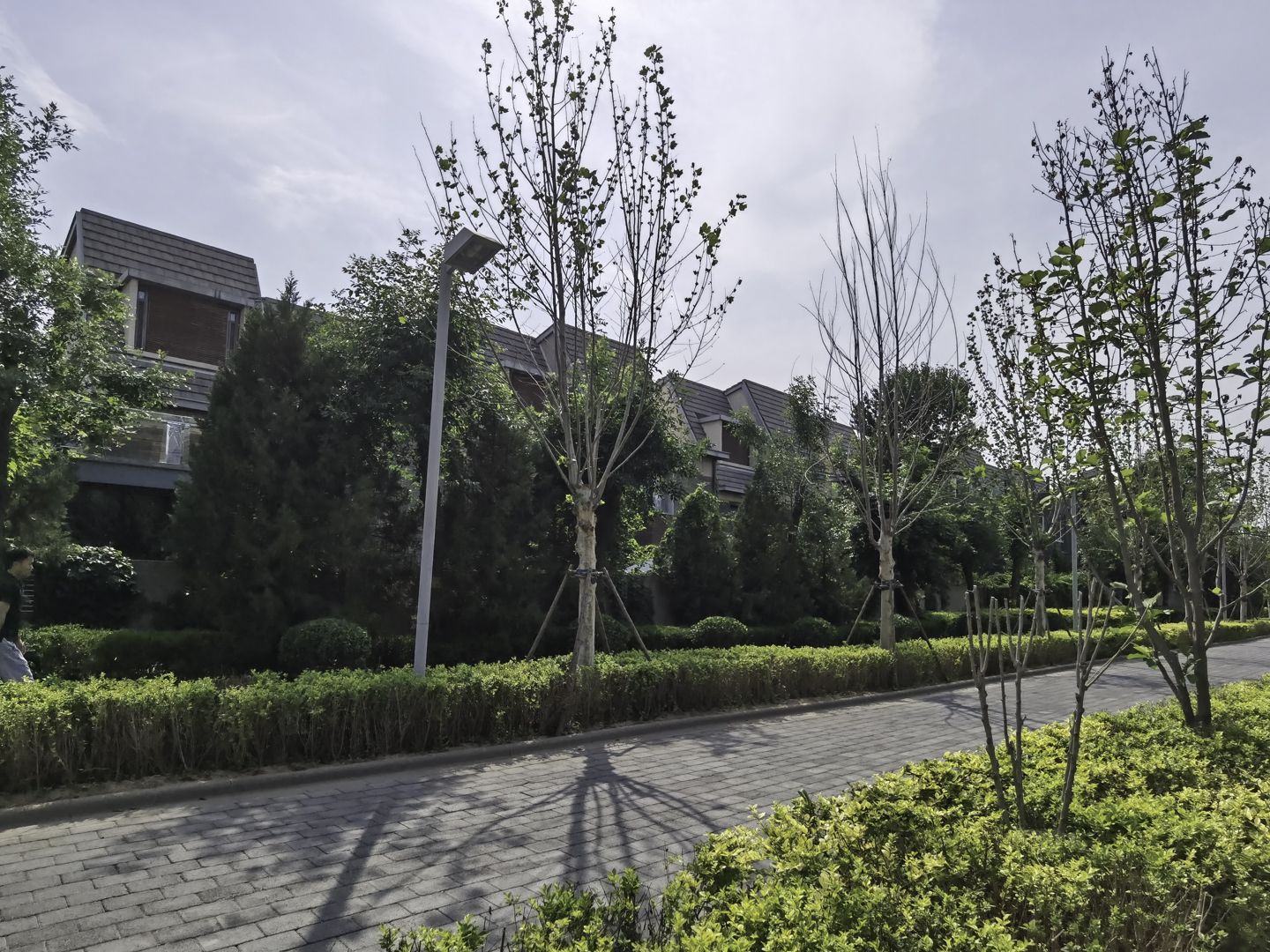 龙湾别墅 environment