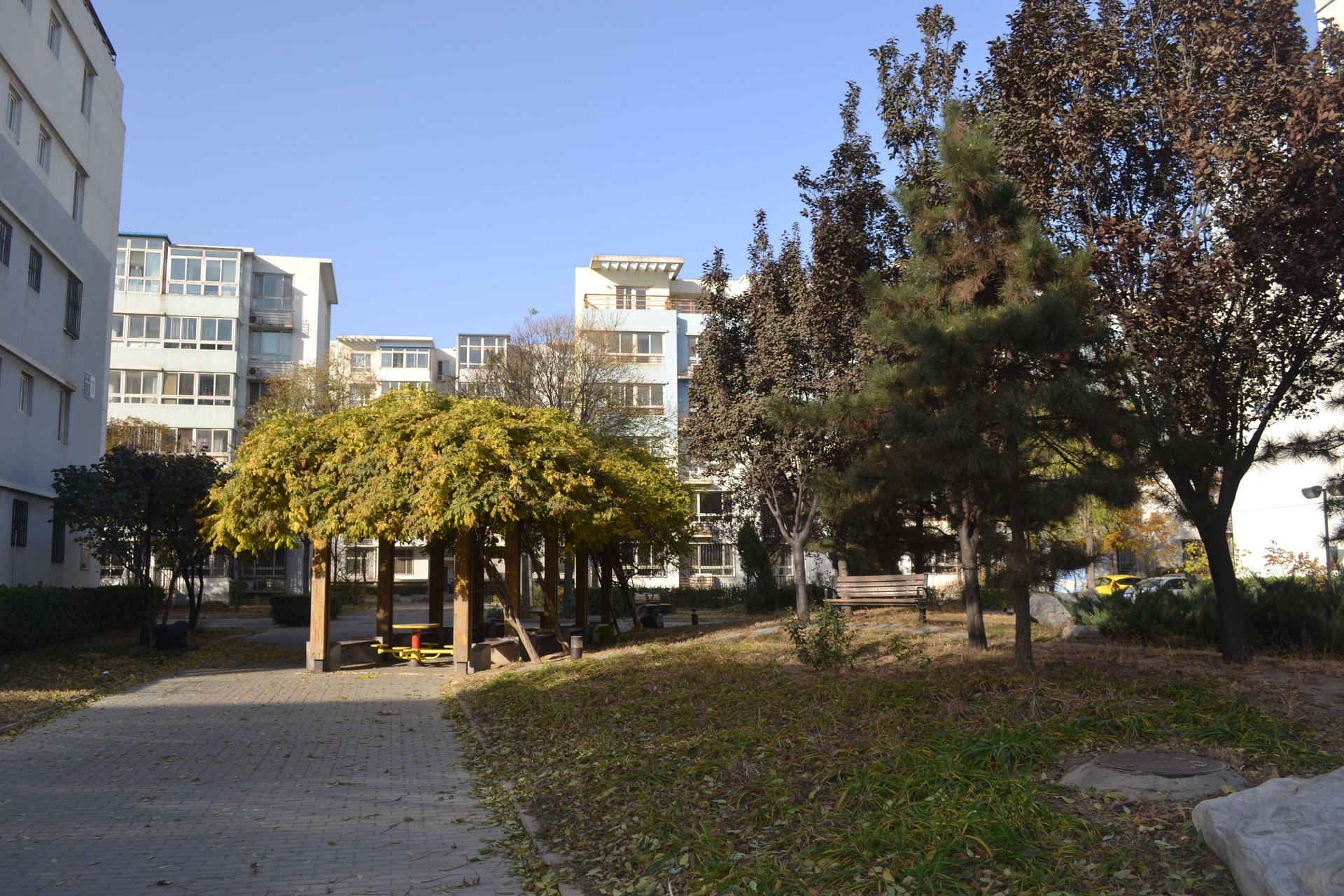 龙禧苑二区 environment