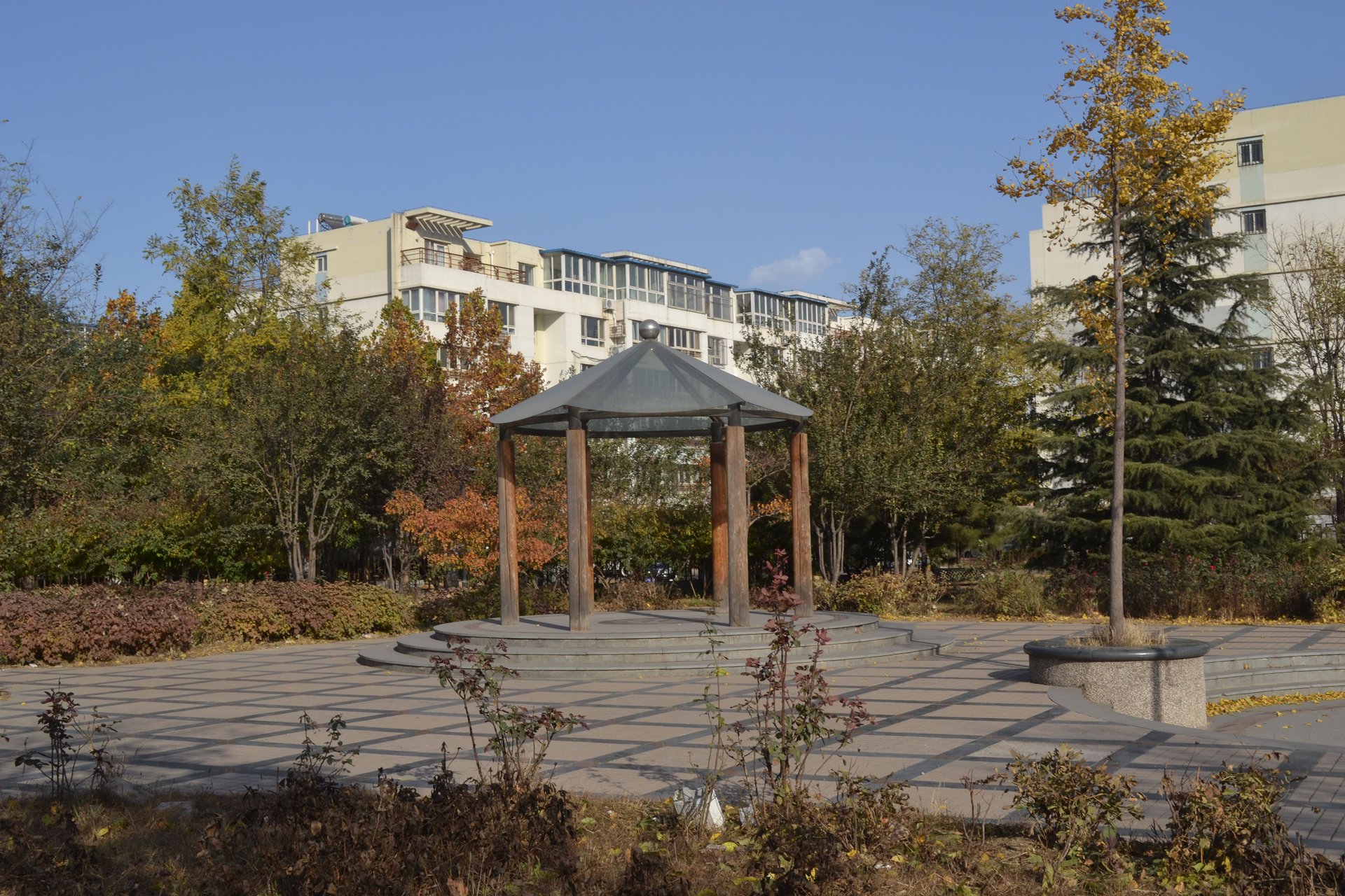 龙禧苑二区 environment