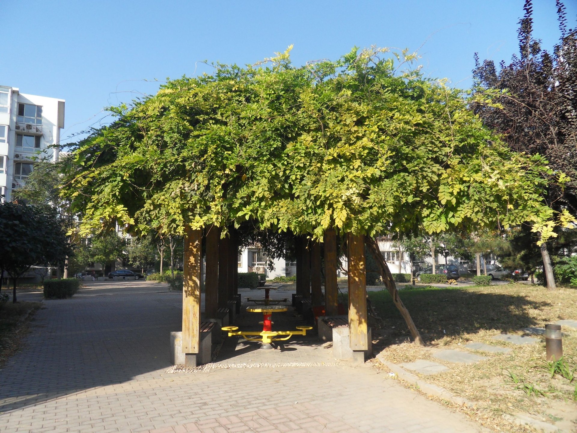 龙禧苑二区 environment