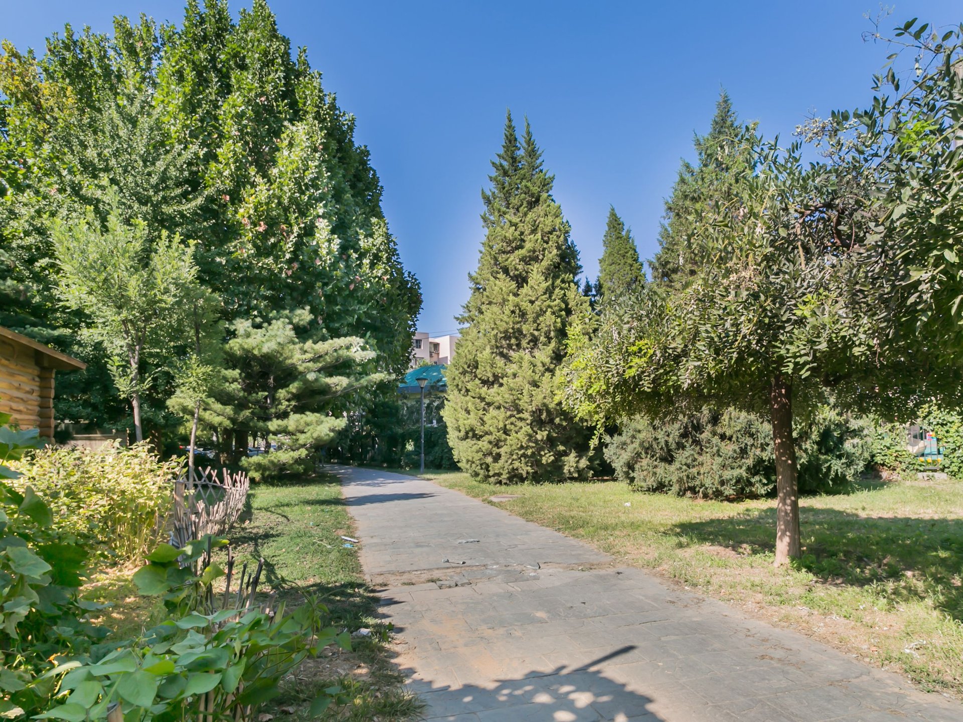 龙泽苑西区 environment